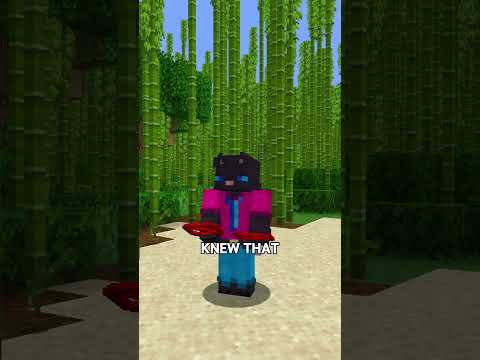 Are Pandas Omnivorous?🐼 ⬆️Watch full video(30 facts)#minecraft