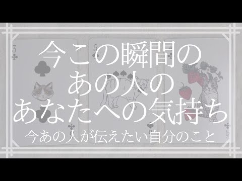 今この瞬間のあの人のあなたへの気持ち【恋愛・タロット・オラクル・占い】