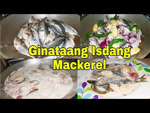 how to cook ginataang Isdang Mackerel | Fish Mackerel in Coconut Milk