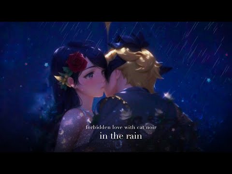 *ੈ✩‧A forbidden love with cat noir and marinette (in the rain) - adrienette playlist with voiceovers