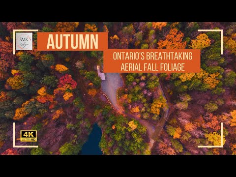 Autumn Splendor: Ontario's Breathtaking Fall Foliage from Above 4K