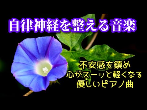 【自律神経を整える音楽】 不安感・イライラを鎮め、心がスーッと軽くなる優しいピアノ曲