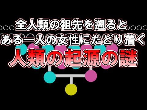 【ゆっくり解説】全人類の祖先はある一人の女性だった？人類の起源の謎