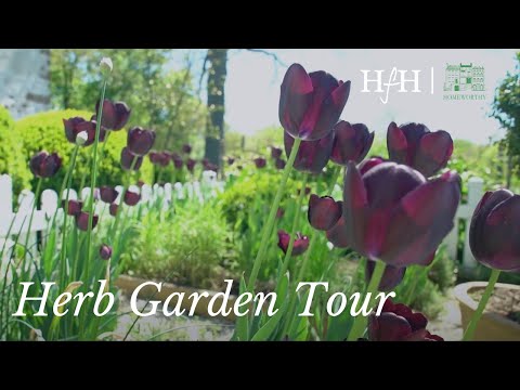 Herb Garden Tour | At Home with Ruth McKeaney | A Series with Homeworthy