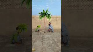 vfx magic tree growing funny tiktok video #vfx #magic #youtubeshorts #viralvideo #growingtree