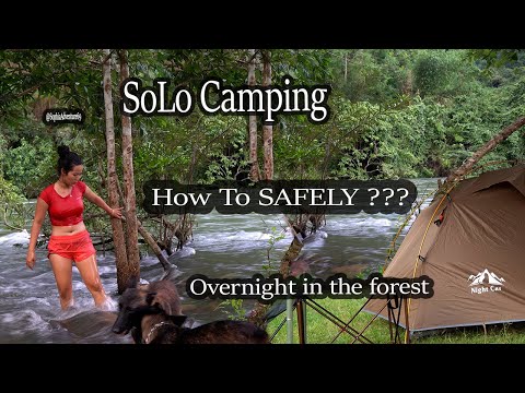 Alone Girl Camping In The Forest - Relaxing In Tent With Natural Sounds - Sophia Adventures