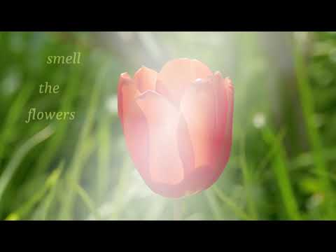 Flower Whispers: music for inner peace and relaxation (spring garden, original composition, 4K)