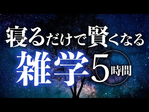 【睡眠導入】寝るだけで賢くなる雑学5時間【合成音声】