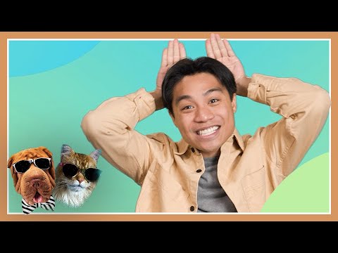 Kitties and Doggies (Jesus Loves Me) | OFFICIAL MUSIC VIDEO | LifeKids