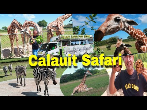 Calauit Safari Tour | Busuanga Palawan Part 1 Vlog#16