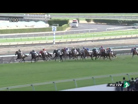 2023.03.11 中山12レースで3連単1点勝負してみたらすごい結果に！？