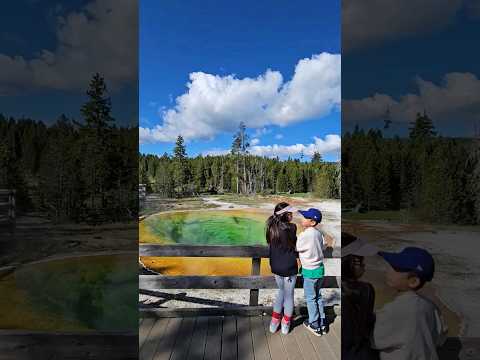 yellowstone national park #trip #미국여행