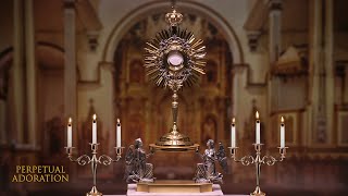 LIVE Perpetual Adoration  (24/7) | Shalom World Prayer Chapel