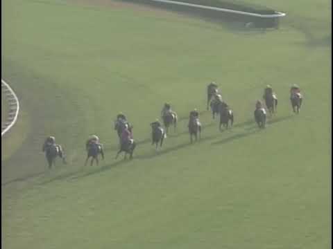 ラインクラフト 2004年 第9回KBS京都賞 ファンタジーステークス(GIII)  (優勝馬：ラインクラフト)