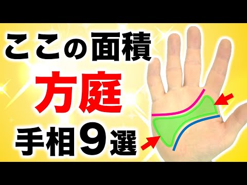 【手相】この面積で性格と器がわかる！方庭手相9選