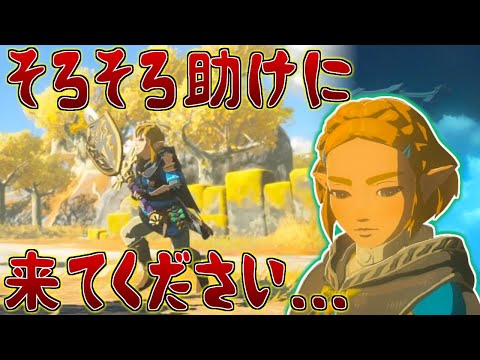 リンク…リンク…発売一週間経ちましたし早く助けに来て…に対するにぶちん英傑の反応集