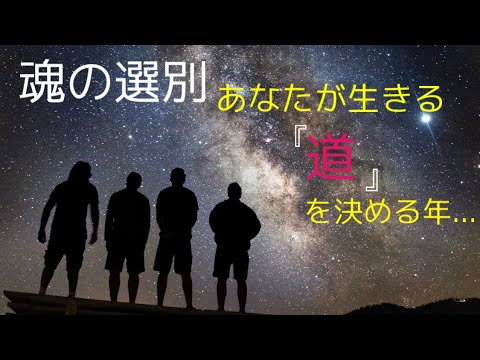 【新たな時代への道標】魂の選別は始まっている...。総てはお役目であり、総てが根源意識の現れに過ぎないのです。