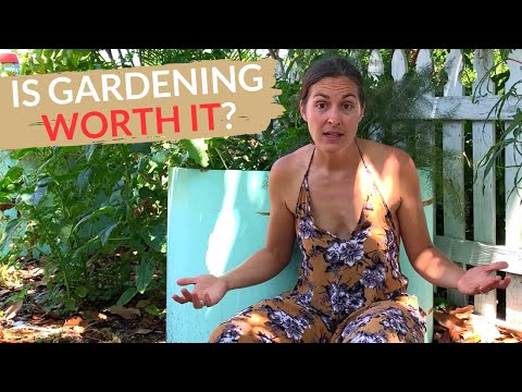 How I Save HUNDREDS Growing My Own Food (Is Growing Food Really Worth It?)