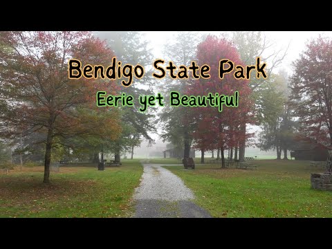 Bendigo State Park ~ Eerie yet Beautiful