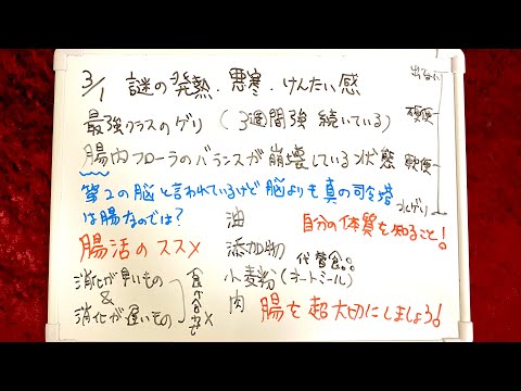 【脳よりも腸】腸が整うと起こること🥸🍵(03/24/24)