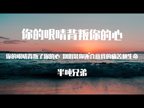 半吨兄弟 - 你的眼睛背叛你的心（原唱：郑中基）【動態歌詞】「于是爱恨交错人消瘦 怕是怕这些苦没来由」♪Lyrics Video♪