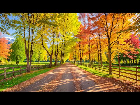 BEAUTIFUL PEACEFUL AUTUMN 🍂 October Autumn 🌿 Stop Overthinking, Stress Relief Music 🌿 Gentle Music