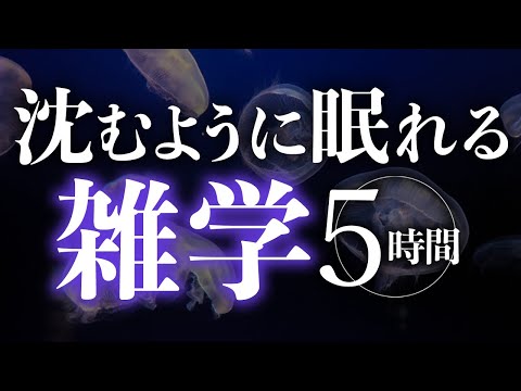 【睡眠導入】沈むように眠れる雑学5時間【合成音声】