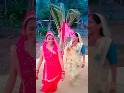 Angana Mein Saiya swimming pool banvaiya #dance #comedy #trendingshorts #viralshorts #ytshorts