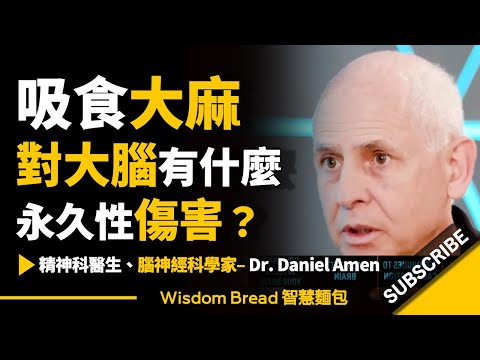 吸食大麻對大腦有什麼永久性傷害？► 聽聽腦神經科學家怎麼說 - Dr. Daniel Amen 丹尼爾・亞曼 （中英字幕）