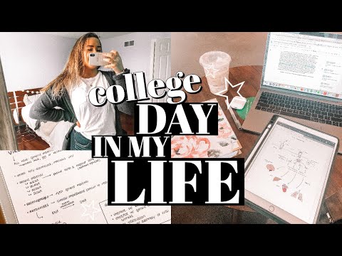 VLOG: how I study, grad school classes, & mcat studying