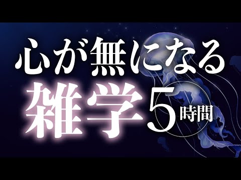 【睡眠導入】心が無になる雑学5時間【合成音声】