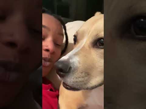 Hilarious Dog Learns to Whisper!