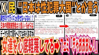 【ツイフェミ】X民「""日本は性犯罪大国""とか言ってる女達を心底軽蔑してる」→ フェミ「ぎゃおおおん！」【ゆっくり 時事ネタ ニュース】