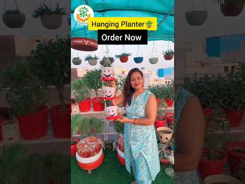 hanging Planter 😄 #shortsvideo #gardeningcare