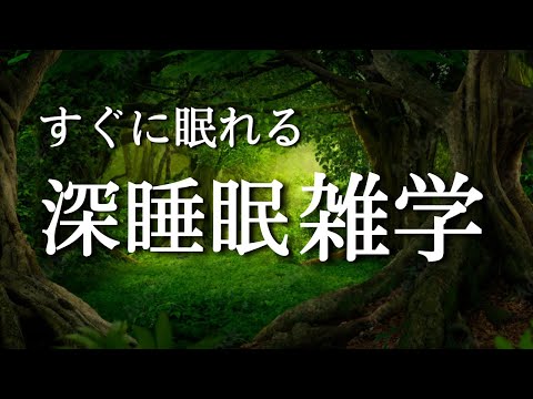 【睡眠導入】良質睡眠の雑学朗読音声（解説付き）【リラックス】【作業用・寝落ち用】