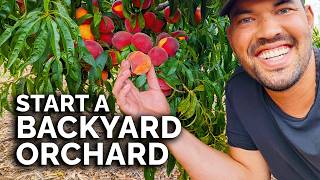 How to Start a Backyard Orchard (COMPLETE GUIDE)