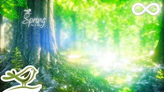 Spring • Beautiful Relaxing Music with a Flute, Cello, Guitar & Piano