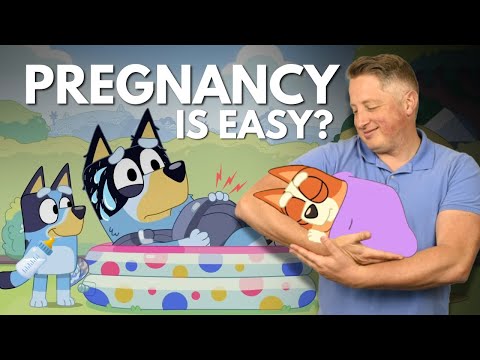 Bluey Gets Therapized - Bluey’s Dad ‘Gets Pregnant’