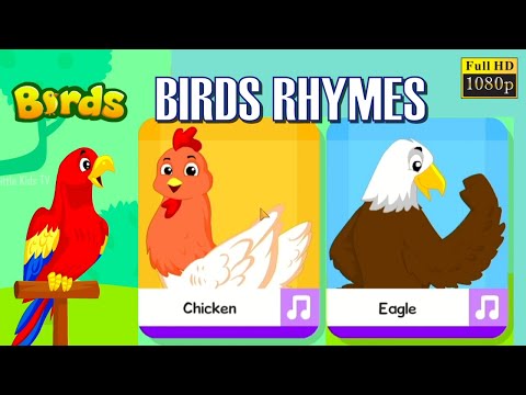 🐦 Birds Song from Kidloland | Nursery Rhymes