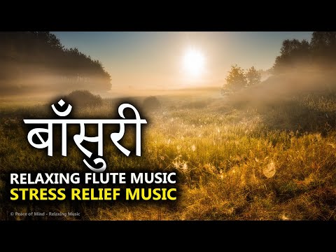 MORNING FLUTE MUSIC l RELAXING MORNING MUSIC l BIRDS CHIRPING l HIMALAYAN FLUTE MUSIC