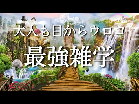 日本人の9割が知らない雑学集 | 作業用BGM | 睡眠用BGM