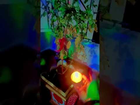 Jay Jay Tulsi Mata 🙏 # viral video Nisha Pandey