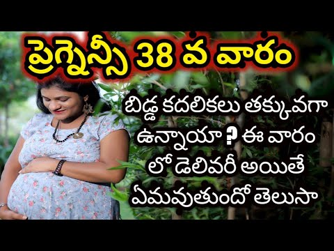 38 weeks baby moments during pregnancy in telugu #babydevelopment