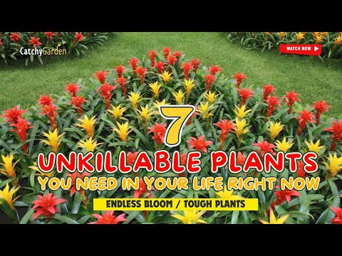 🔥 TOP 7 UNKILLABLE PLANTS YOU NEED IN YOUR LIFE RIGHT NOW! 🌿🌸 // Gardening Ideas