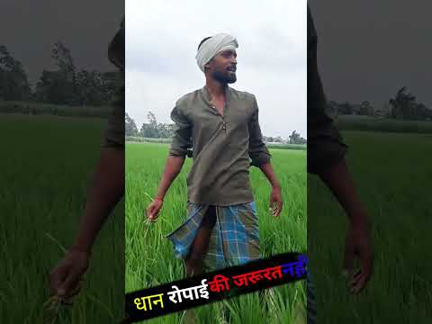 धान की रोपाई नहीं करना पड़ेगा 😂 Viral Comedy Video 😂 The End