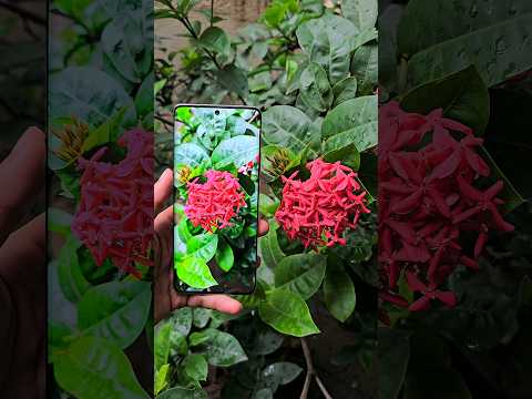 Moto Edge 50 Ultra Camera Test 🔥