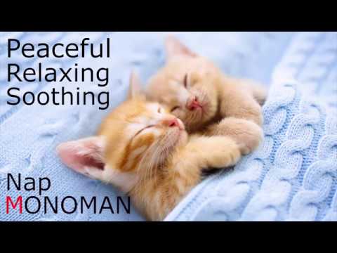 [Peaceful Relaxing Soothing] Nap - MONOMAN