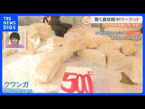 アフリカ・コンゴ民主共和国の大混雑マーケットから！驚きの食材続々！コンゴの食生活って？【すたすた中継】｜TBS NEWS DIG