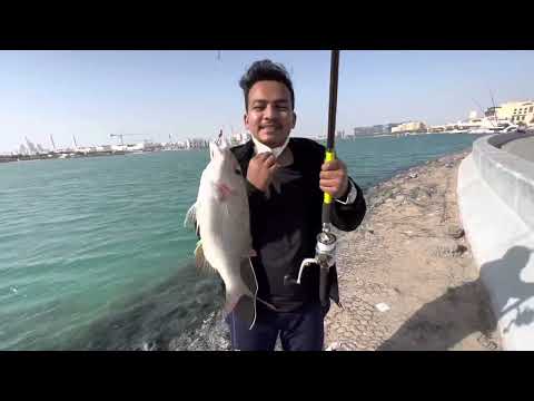 Fishing at Musaffah bridge Abu Dhabi UAE: #ilovefishing