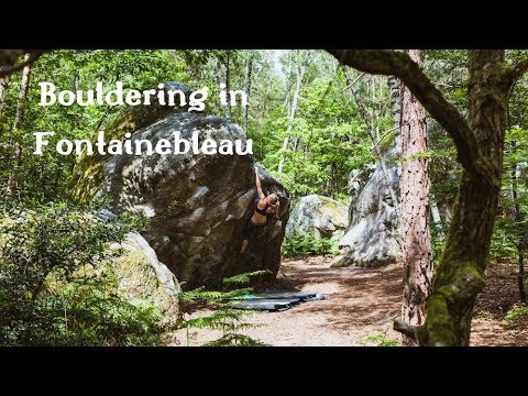 Bouldering & Vanlife in Fontainebleau